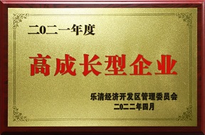 2021年度高成长型企业_九州酷游