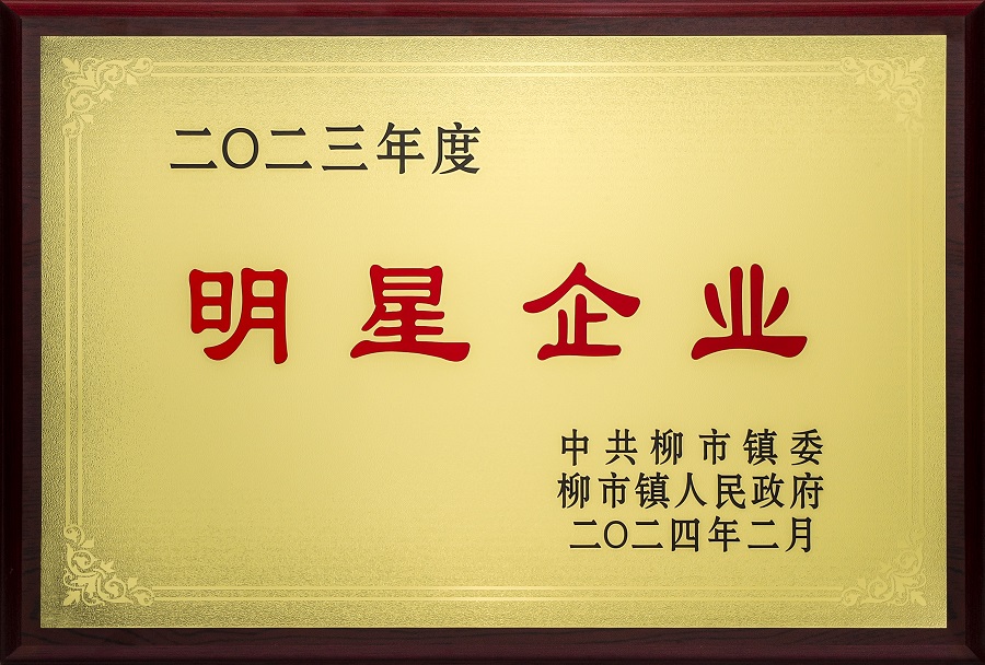 九州酷游-2023年度柳市镇明星企业-2024年02月 - 副本