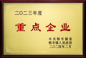 九州酷游-2023年度柳市镇重点企业