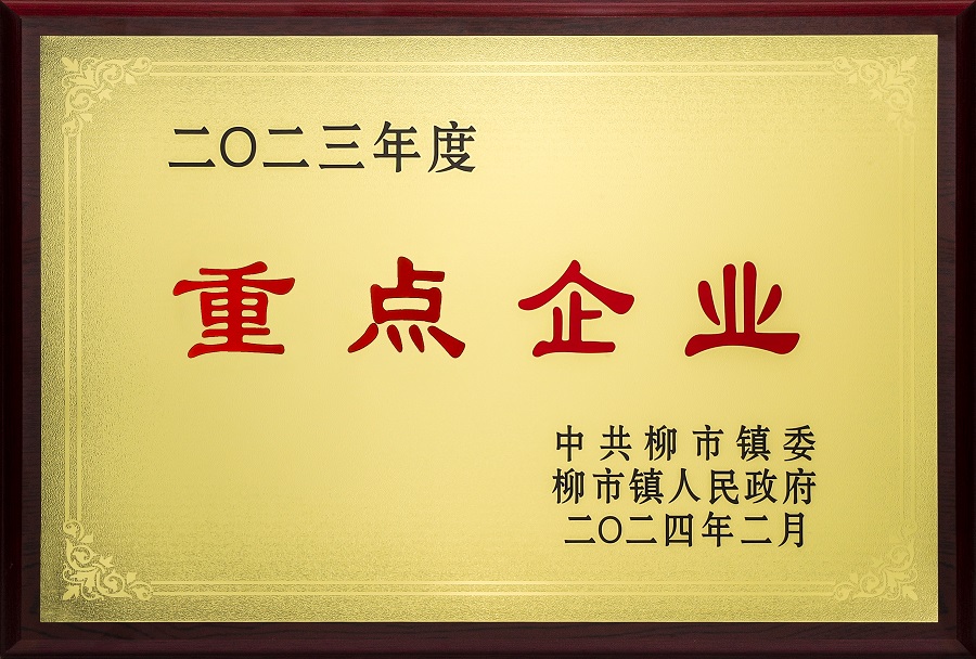 九州酷游-2023年度柳市镇重点企业-2024年02月 - 副本